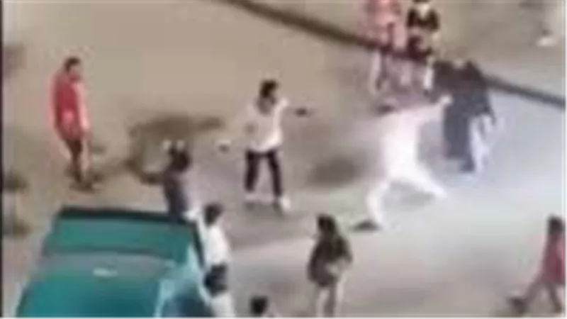 فيديو يشعل مواقع التواصل لمشاجرة بالأسلحة البيضاء أمام جراج بالجيزة