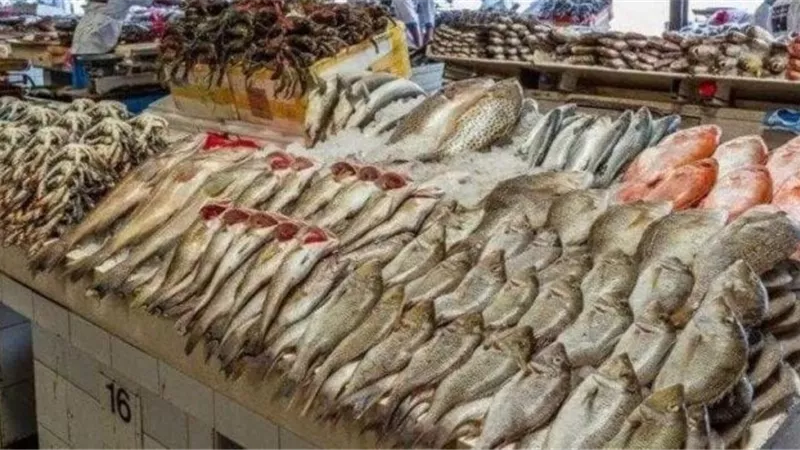 من البلطي للجمبري.. سعر السمك اليوم الجمعة 21/9/2025