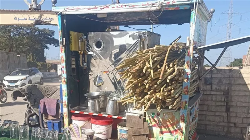 ضبط وإعدام أطنان من الأغذية الفاسدة وحملات مكثفة لحماية المواطنين بالمنوفية