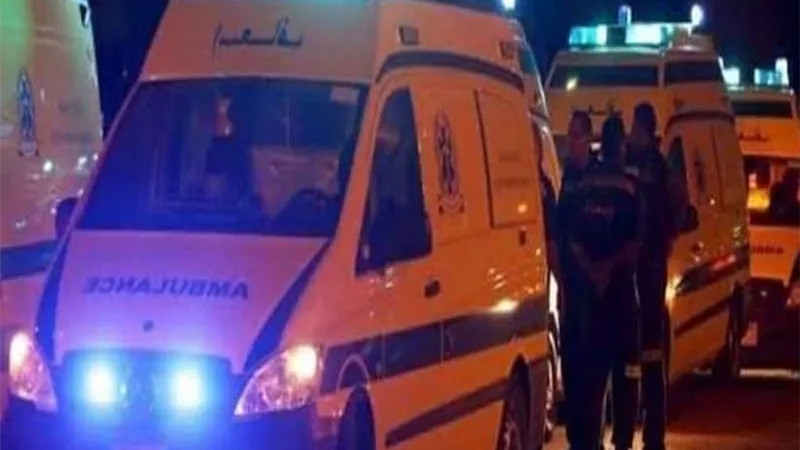 إصابة 11 شخصًا جراء تصادم سيارة ملاكي بميكروباص على طريق إسحاقة–كفر الشيخ