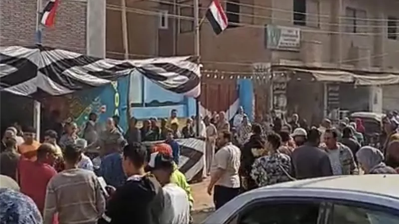 إقبال كثيف من المواطنين على اللجان الانتخابية بالمحلة  