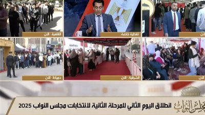 أيمن عبد المجيد: نحتاج إلى تغيير قانون رسم الدوائر الانتخابية 