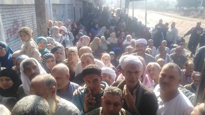 زحام بالالاف أمام لجان انتخابات مجلس النواب.. ودعوات بفتح لجان إضافية بالمنوفية 