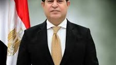 النائب سليمان وهدان يدعو لربط زيادة المعاشات بالتضخم خلال مناقشات التأمينات