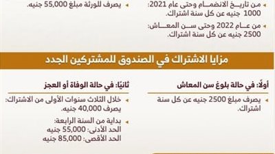 صندوق التكافل بـ«المحامين» يوفر تعويضات أكبر للمعاش والوفاة والعجز أول يناير 2026