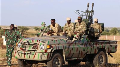 الجيش السوداني يعلن تدمير مواقع الدعم السريع وقتل العشرات في شمال كردفان 