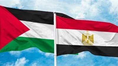 مصر تؤكد دعم الحقوق الفلسطينية في اليوم العالمي للتضامن