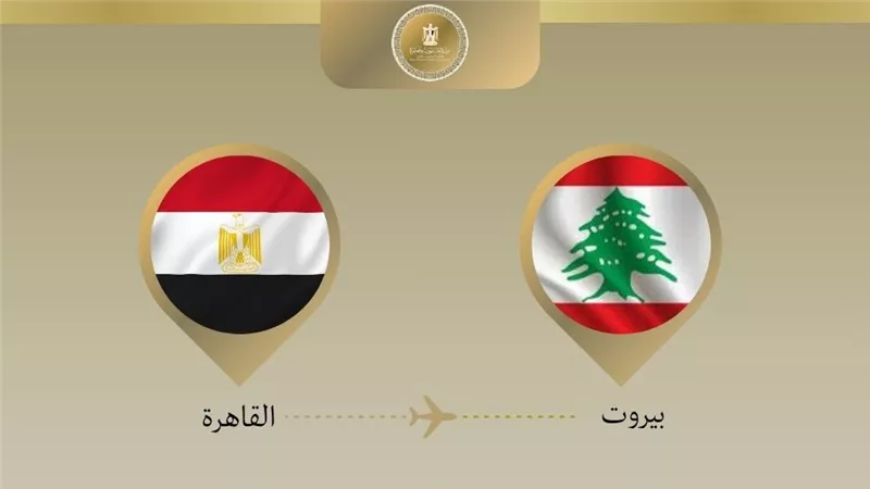 وزير الخارجية يتوجه إلى لبنان لتأكيد دعم مصر
