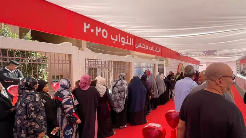 متحدث التنمية المحلية: أكثر المشاركين في انتخابات النواب من الشباب والسيدات