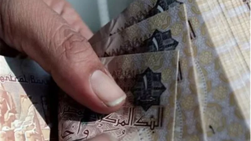 أقتصادي: الجنيه المصري يدخل مرحلة استقرار نسبية.. والإصلاح الهيكلي يدعم النمو خلال 2025