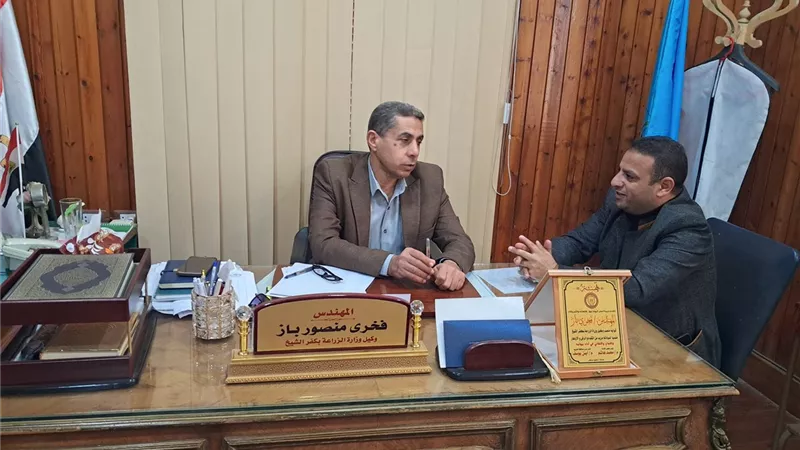 استعدادًا لموسم واعد.. كفر الشيخ ترفع مساحة القمح إلى 250 ألف فدان 
