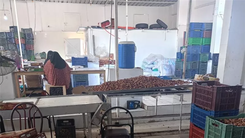 حملات تموينية مكثفة بكفر الشيخ لضبط الأسواق وتشديد الرقابة على المخابز