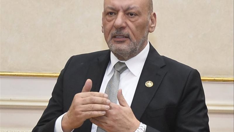 المستشار حسين أبو