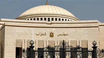 حكم تاريخي: المحكمة الإدارية العليا تقتصر الإلغاء على مقاعد الإعادة لانتخابات النواب