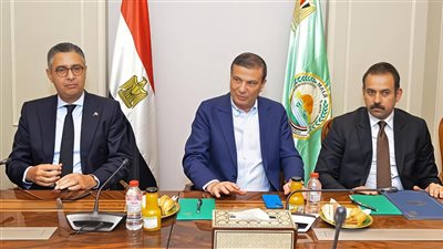 تحفيز الإنتاج المحلي للدواجن بمصر.. خطوات جديدة لخفض الاستيراد 