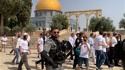 مؤدين طقوسا تلمودية.. عشرات المستوطنين يقتحـــ.ــــمون المسجد الأقصى بحماية قوات الاحتـــ.ــــلال 