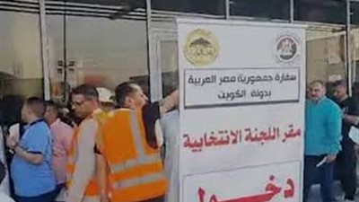 توافد المصريين على السفارات والقنصليات للمشاركة في جولة الإعادة في الانتخابات البرلمانية 