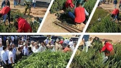 مراسل قناة القاهرة الإخبارية:  استراتيجية جديدة لتحقيق الأمن الغذائي في لبنان