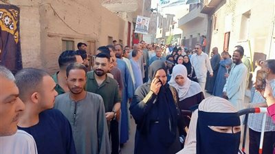 فتح اللجان الانتخابية بجولة الإعادة في الـ19 دائرة الملغاة 