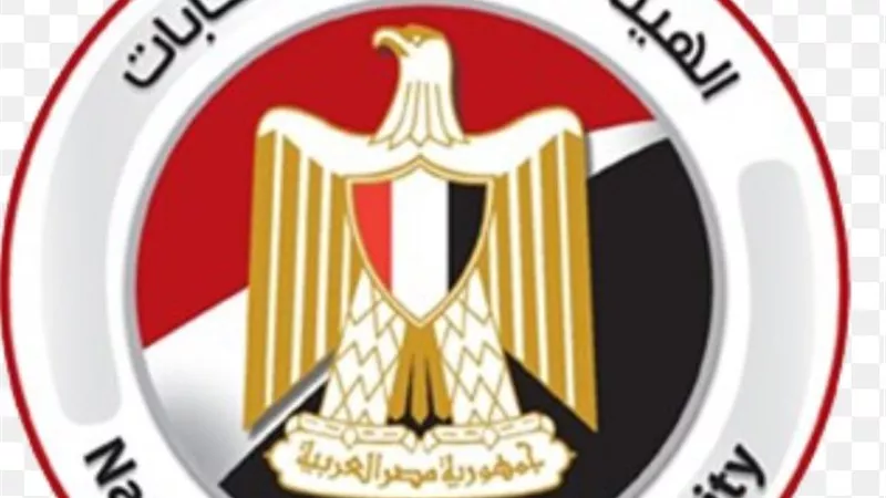 تعرف على عدد الطعون في انتخابات النواب على نتائج 19 دائرة ملغاة
