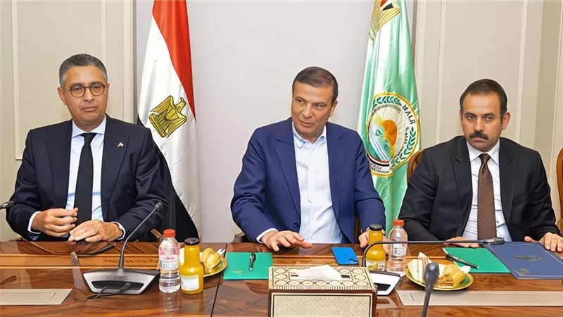 تحفيز الإنتاج المحلي للدواجن بمصر.. خطوات جديدة لخفض الاستيراد 