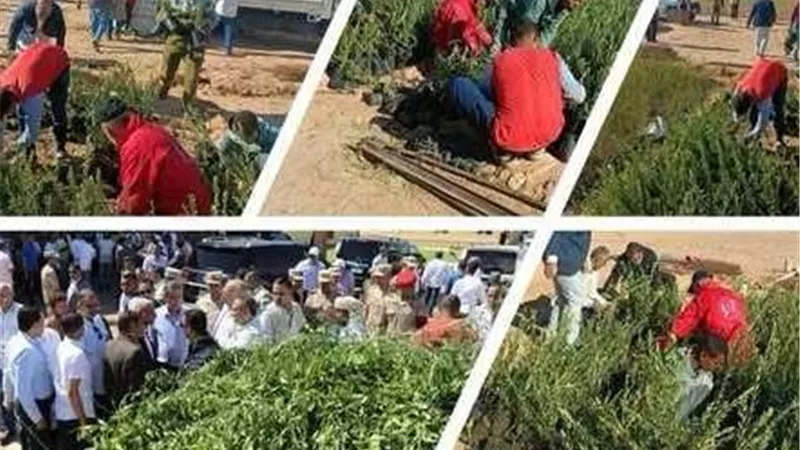 وزارة الزراعة: أنشطة مركز بحوث الصحراء في التنمية ومكافحة التصحر خلال نوفمبر