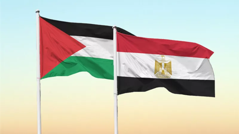 اللجنة المصرية في غزة تواصل عمليات الإغاثة