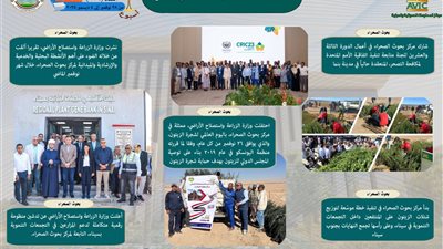 400 ألف مزارع قمح.. 
