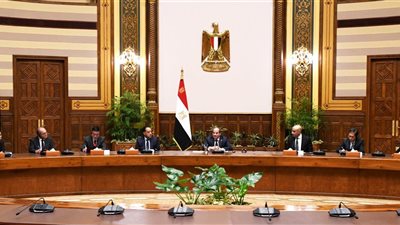 الرئيس السيسي يشدد على أهمية زيادة عدد المدارس اليابانية في مصر