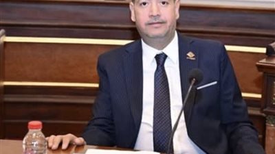 أكاذيب وادعاءات باطلة.. برلماني يعلق على شائعات التنسيق بين مصر وإسرائيل لفتح معبر رفح 