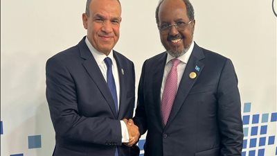 وزير الخارجية لرئيس الصومال: مصر تعتز بعمق الروابط التاريخية التي تجمع البلدين