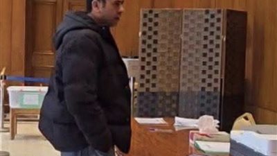 لليوم الأخير المصريين في الخارج يدلون بأصواتهم في دوائر مجلس النواب المُلغاة 