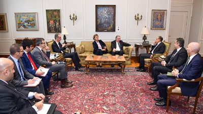 وزير الخارجية يستقبل وفدًا أوروبيًا لبحث تطورات عملية السلام في الشرق الأوسط