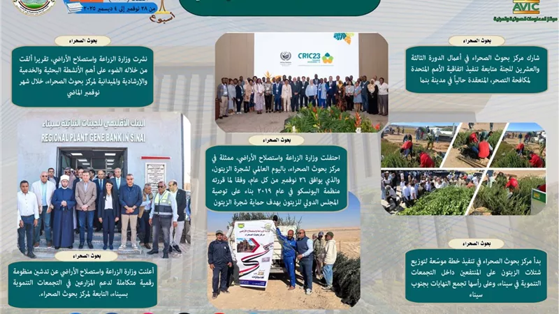 400 ألف مزارع قمح.. 