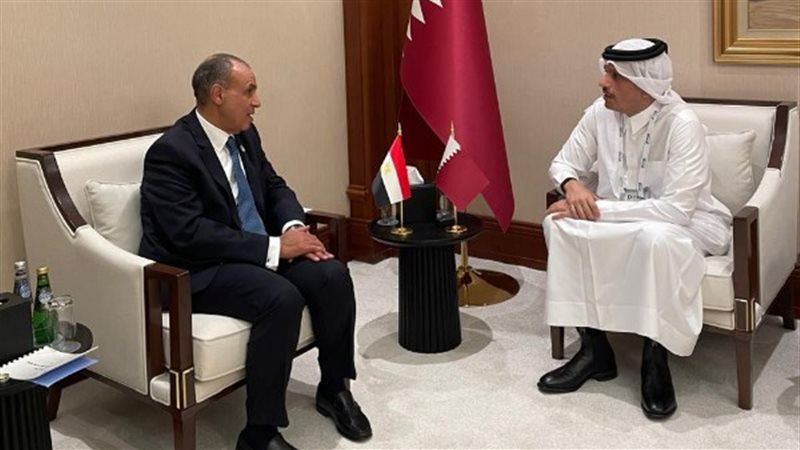 الدكتور بدر عبد العاطي
