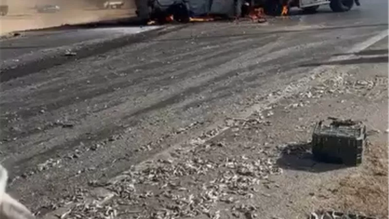  كارثة على الصحراوي الشرقي.. تفحم 4 جثث وإصابة اثنين في تصادم بالمنيا