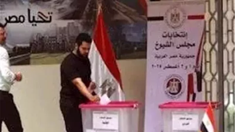 انتخابات المصرين