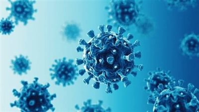 مستشار الرئيس: نسبة الإصابة بفيروس «H1N1» بين المصريين تصل إلى 60%