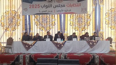  نتائج انتخابات الـ 5 دوائر الملغاة قضائيًا في الجولة الأولى من مجلس النواب 2025 بالمنيا
