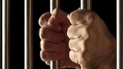 المشدد 6سنوات وغرامة 100 ألف جنيه لتاجر الشابو بطما في سوهاج  
