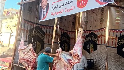 فتح منافذ بيع اللحوم البلدية بسعر 290 جنيهًا للكيلو بأسيوط