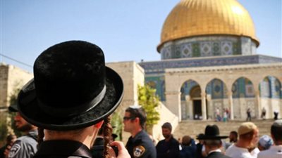 المستوطنيين يقتحموا المسجد الأقصى مجددا.. ويقوموا بجولات استفزازية