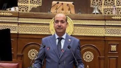 برلماني: المشاركة في الانتخابات البرلمانية تعزيزا للديمقراطية والحياة السياسية في مصر (خاص)