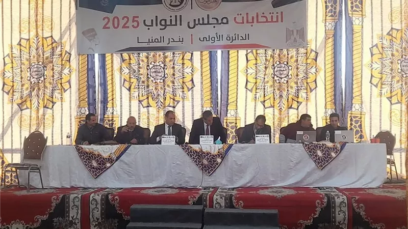  نتائج انتخابات الـ 5 دوائر الملغاة قضائيًا في الجولة الأولى من مجلس النواب 2025 بالمنيا