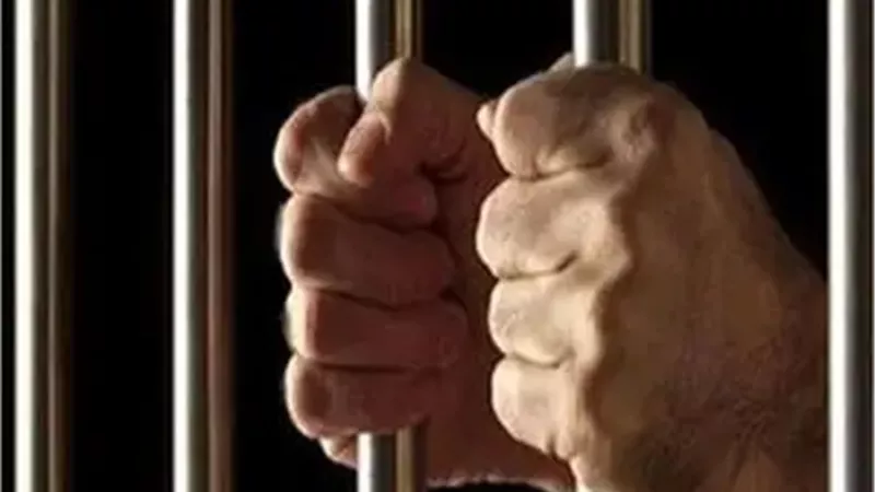 المشدد 6سنوات وغرامة 100 ألف جنيه لتاجر الشابو بطما في سوهاج  