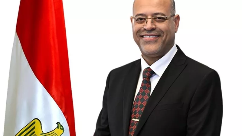 وزير العمل يبحث مع منظمة العمل الدولية تعزيز التعاون وتطوير المنظومة