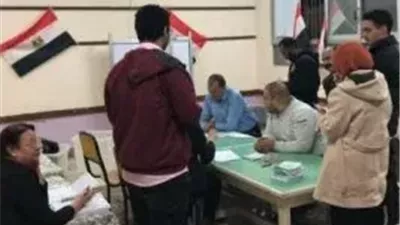 الدقهلية تختتم جولة الإعادة بمشاركة قوية للناخبين
