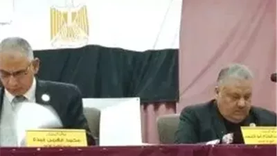 جنوب سيناء تنهي جولة الإعادة بالدائرة الثانية بحضور جماهيري