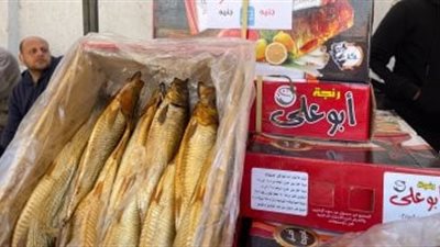 سوق اليوم الواحد بحدائق الأهرام: تخفيضات على السلع الأساسية تصل لـ30%