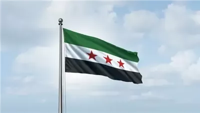 سوريا تؤكد التزامها بمكافحة داعش وتكثيف العمليات ⁠العسكرية ضد التنظيم